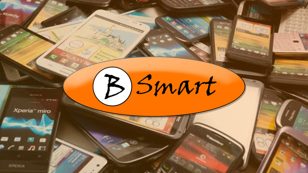 Bsmart Group - Leading Successful Business in the Americas
