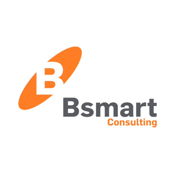 Bsmart Group - Leading Successful Business In The Americas